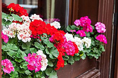 跨时空PvPvE战术射击新作《活性物质》正式公布